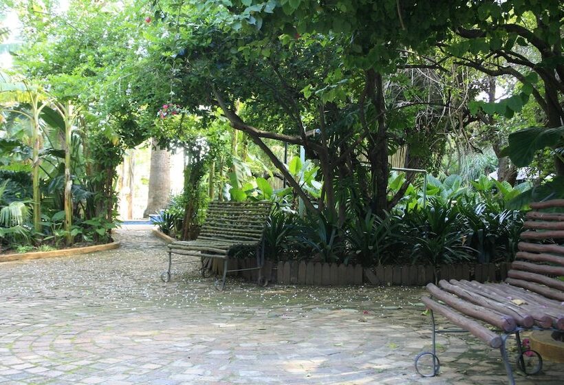 Pension Brooklyn Guesthouses