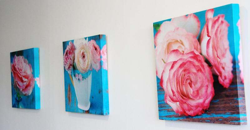 旅馆 Attic Backpackers