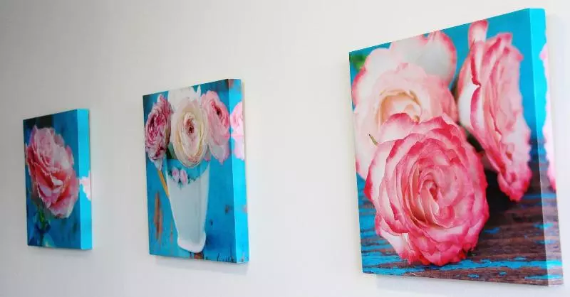 هاستل Attic Backpackers