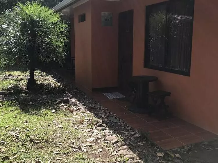 Blue Morpho   Hostel