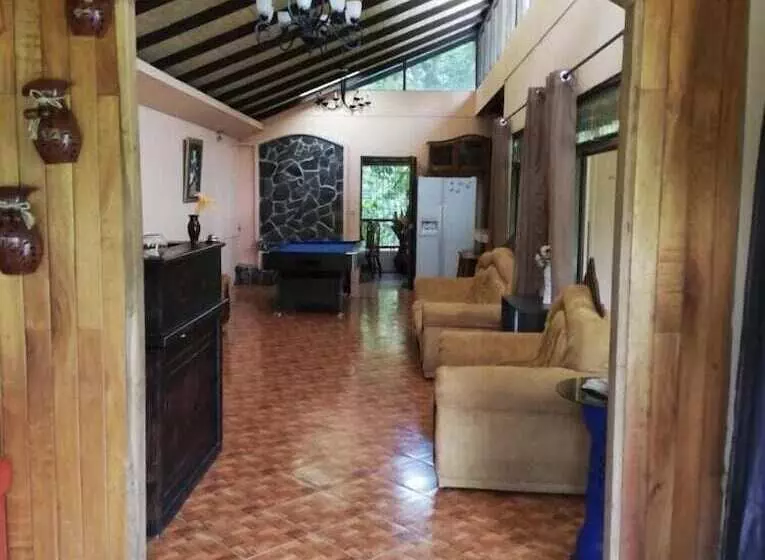 Blue Morpho   Hostel