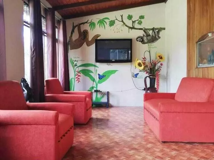 Blue Morpho   Hostel