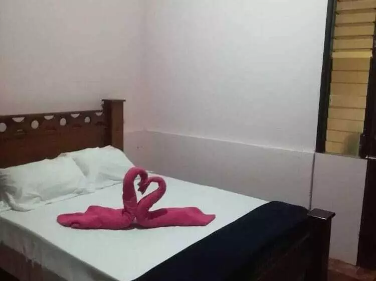 Blue Morpho   Hostel