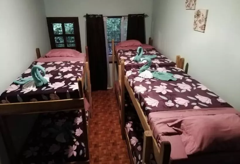Blue Morpho   Hostel