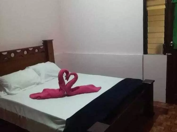 Blue Morpho   Hostel