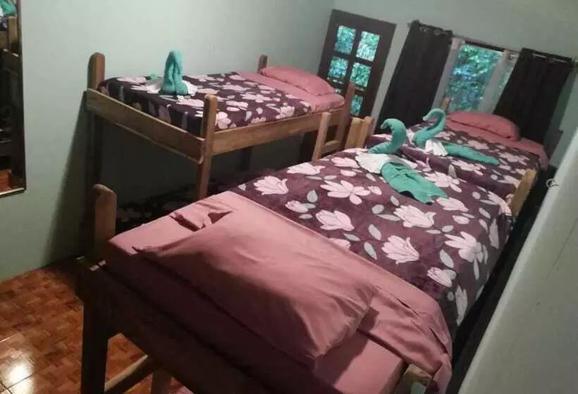 Blue Morpho   Hostel