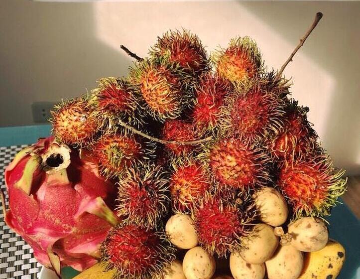 Отель Bentrina Diving Resort