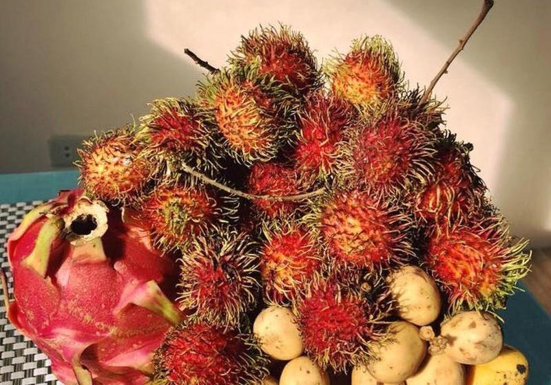 Отель Bentrina Diving Resort