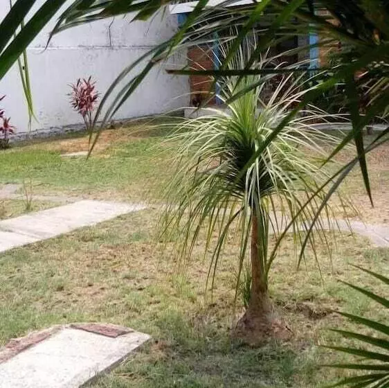 ホテル Bungalows Del Río