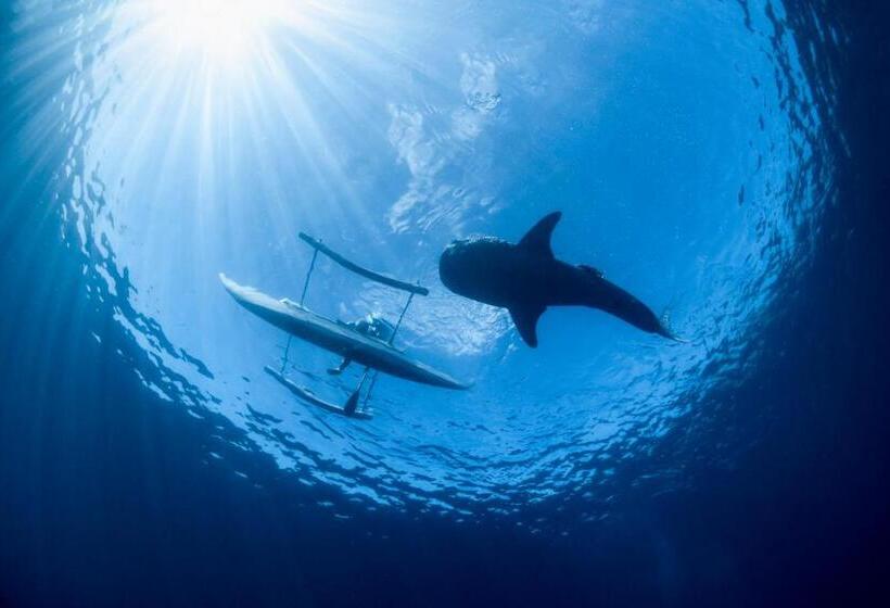 Hotel Emoha Dive Resort