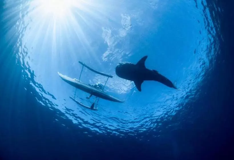 ホテル Emoha Dive Resort