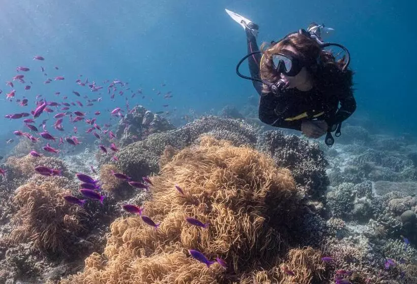 ホテル Emoha Dive Resort