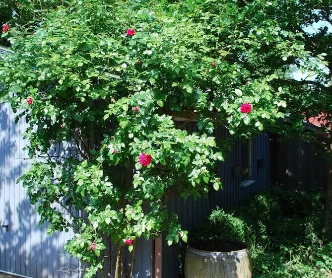 ペンション Altes Pastorat Langenhorn