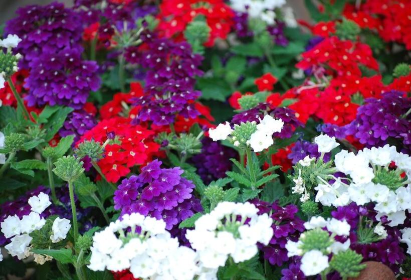 펜션 Altes Pastorat Langenhorn