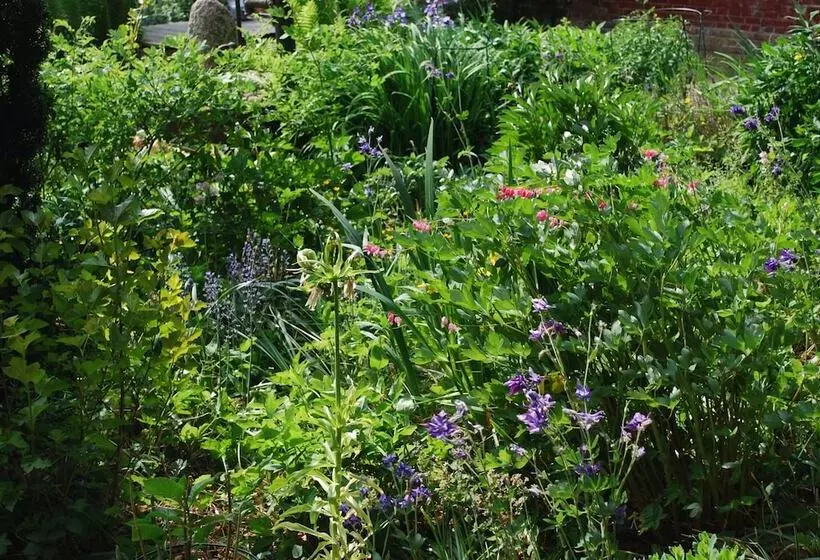 ペンション Altes Pastorat Langenhorn