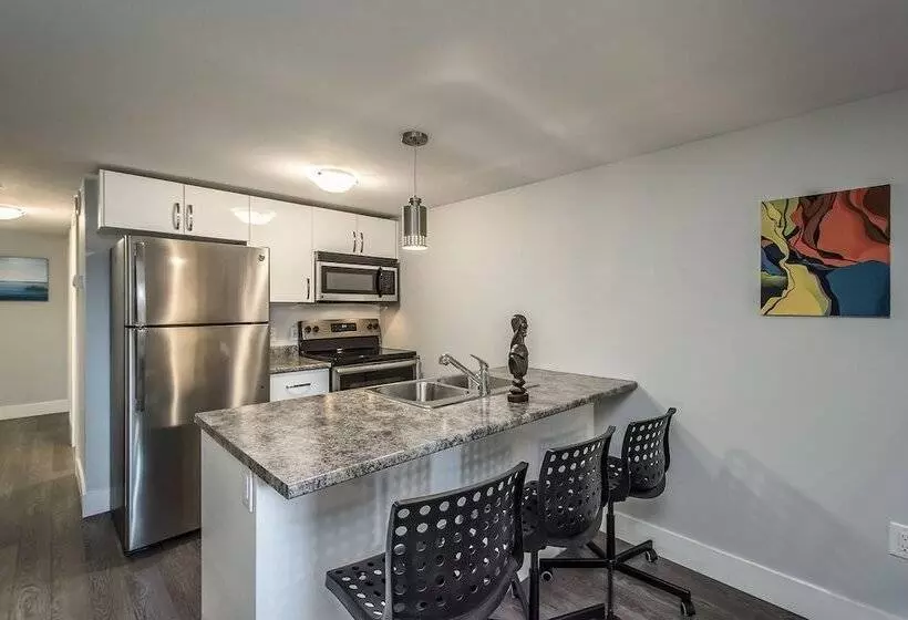 Spacious Dal & Downtown Apartments