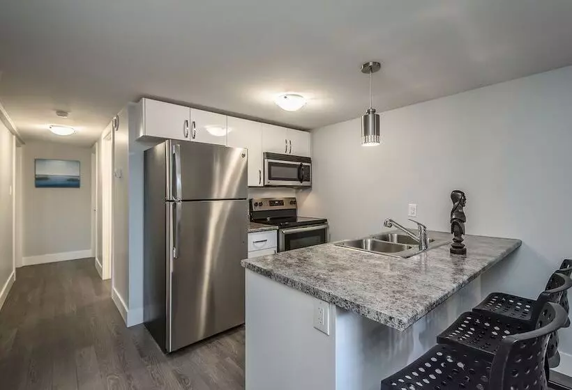 Spacious Dal & Downtown Apartments