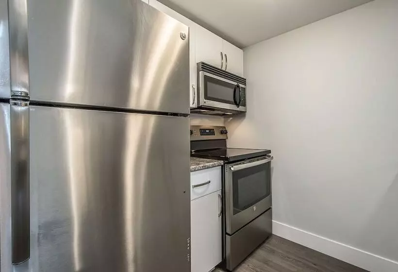 Spacious Dal & Downtown Apartments