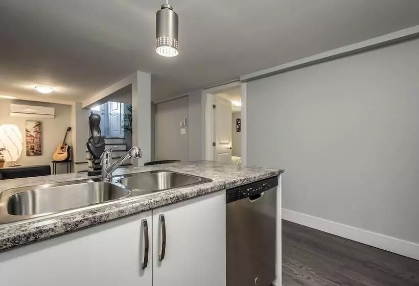 Spacious Dal & Downtown Apartments