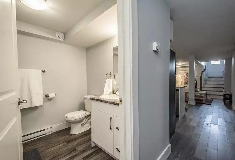 Spacious Dal & Downtown Apartments
