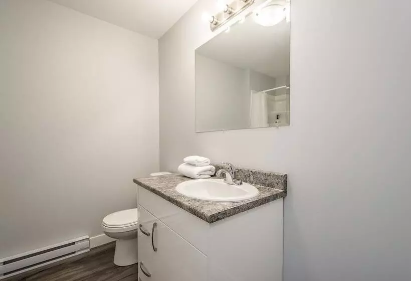 Spacious Dal & Downtown Apartments