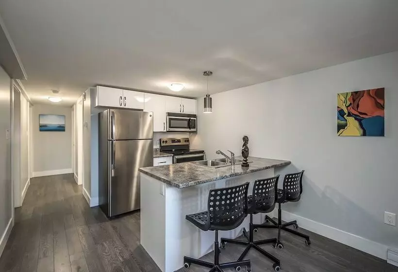 Spacious Dal & Downtown Apartments
