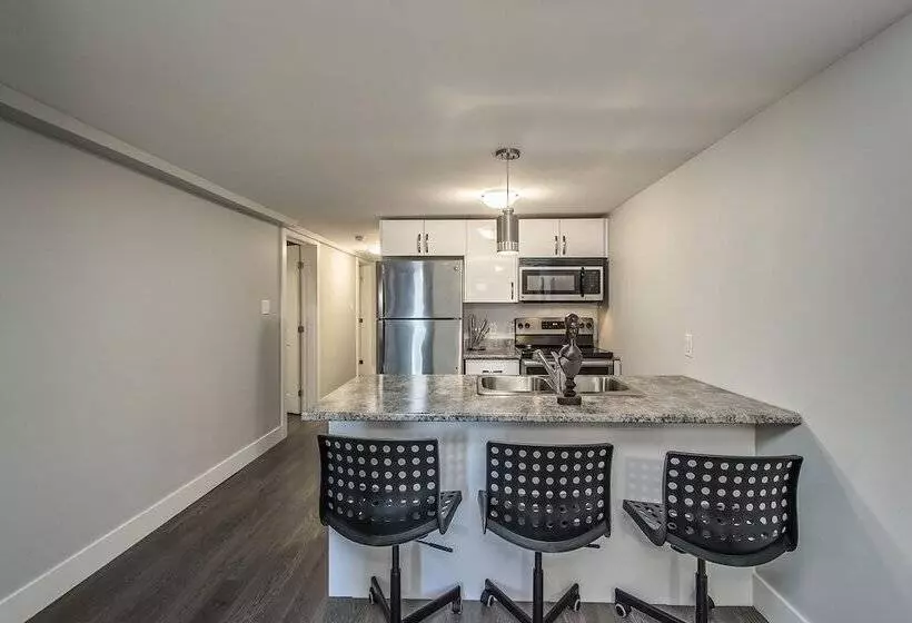 Spacious Dal & Downtown Apartments
