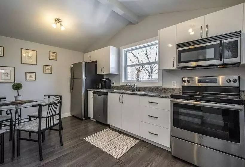 Spacious Dal & Downtown Apartments