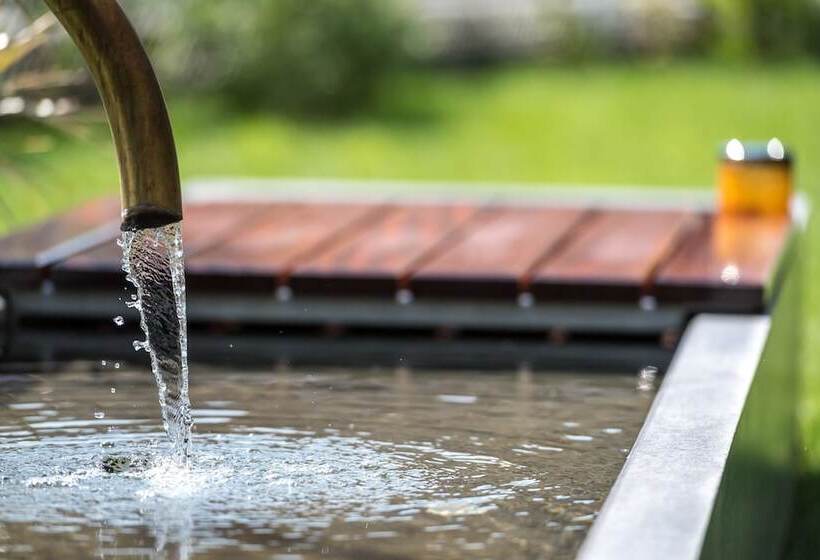 Châtonneyre Hotel & Restaurant