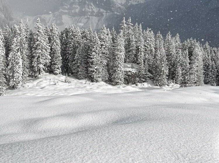 Seilers Vintage Hotel & Spa