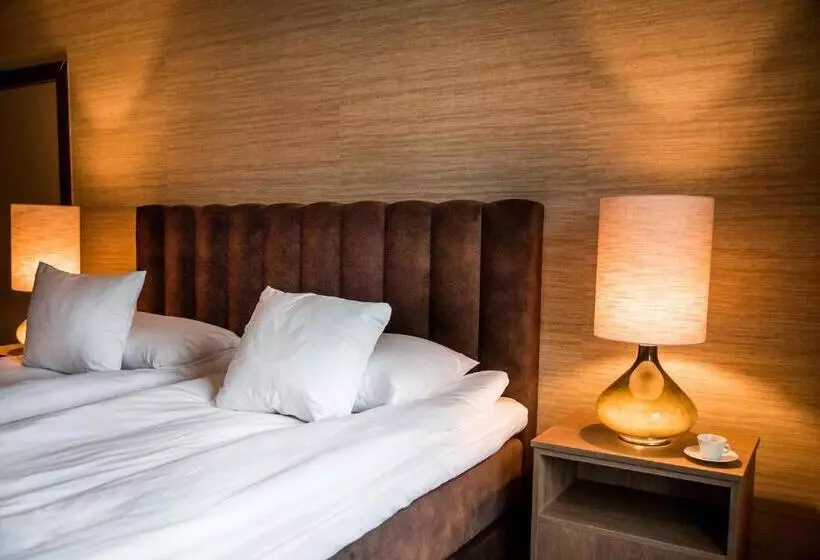 ホテル Billingehus