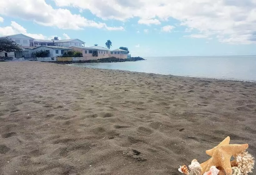 Pinneys Beach Hotel Nevis