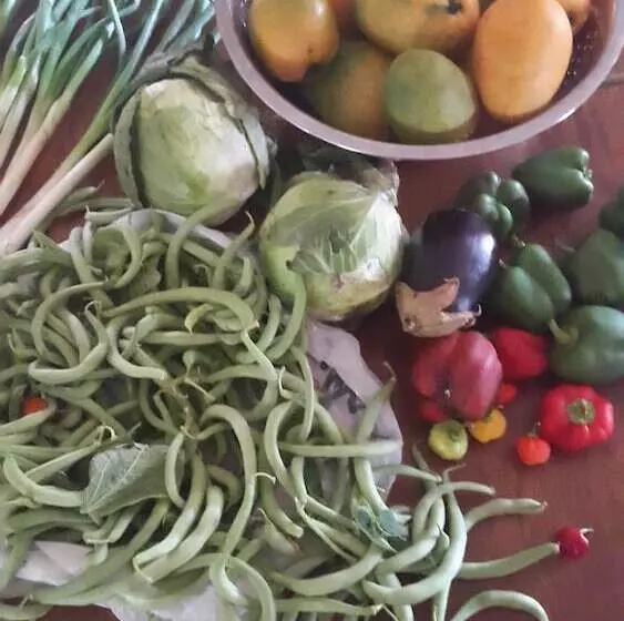 Pinneys Beach Hotel Nevis