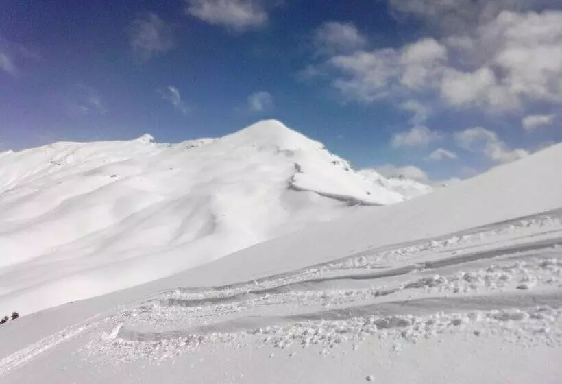 ホテル The Himalayan Alpine
