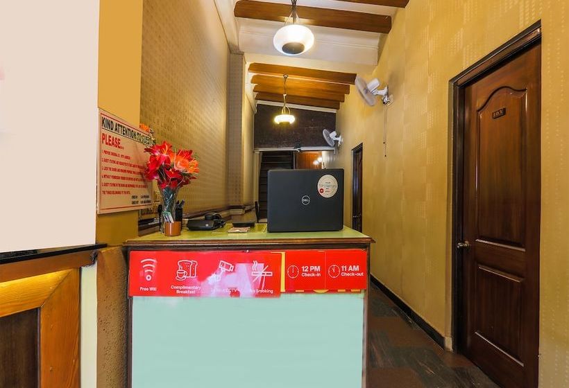 Plantain Leaf By Oyo