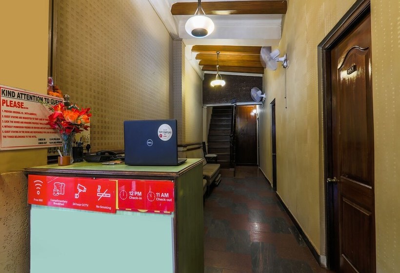 Plantain Leaf By Oyo