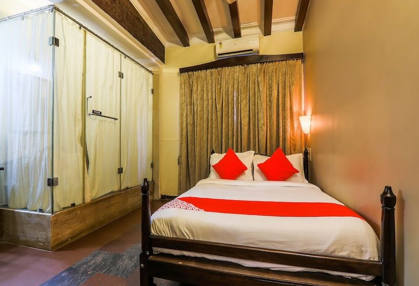 Plantain Leaf By Oyo