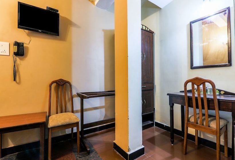 Plantain Leaf By Oyo