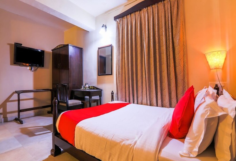 Plantain Leaf By Oyo