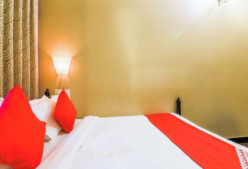 Plantain Leaf By Oyo