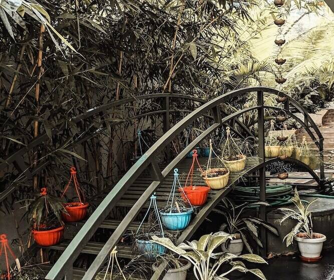 Anamiva, Goa Am Hotel Kollection