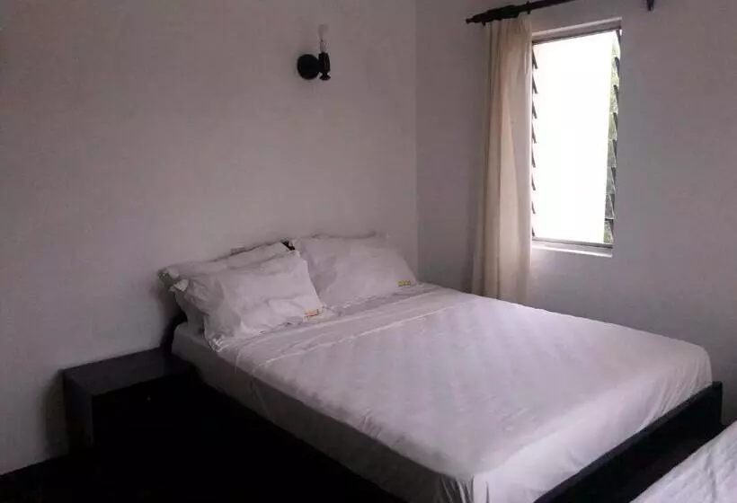 Wayside Beach Apartments
