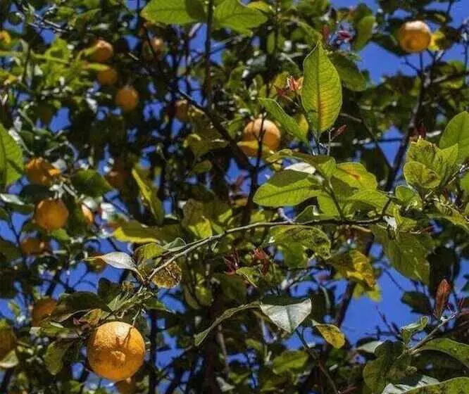 Casa Q Bed & Breakfast