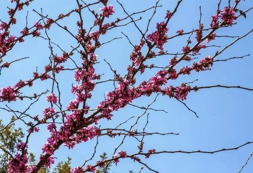 Casa Q Bed & Breakfast