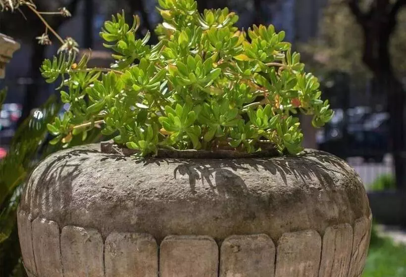 Casa Q Bed & Breakfast