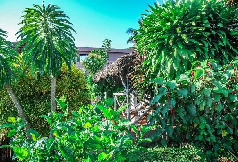 هتل Coucher De Soleil