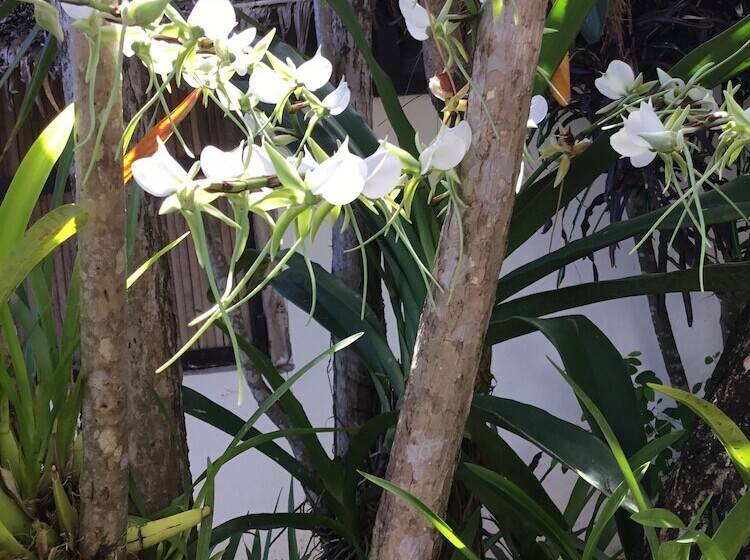 هتل Coucher De Soleil