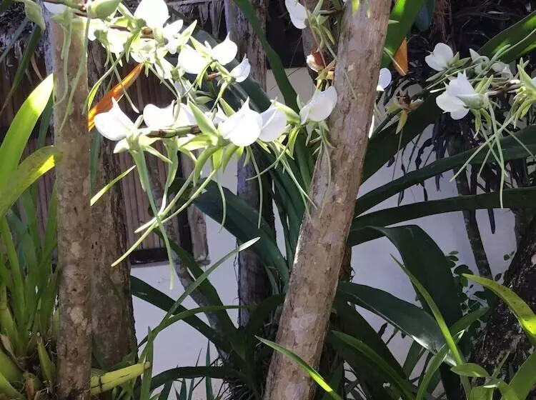 هتل Coucher De Soleil