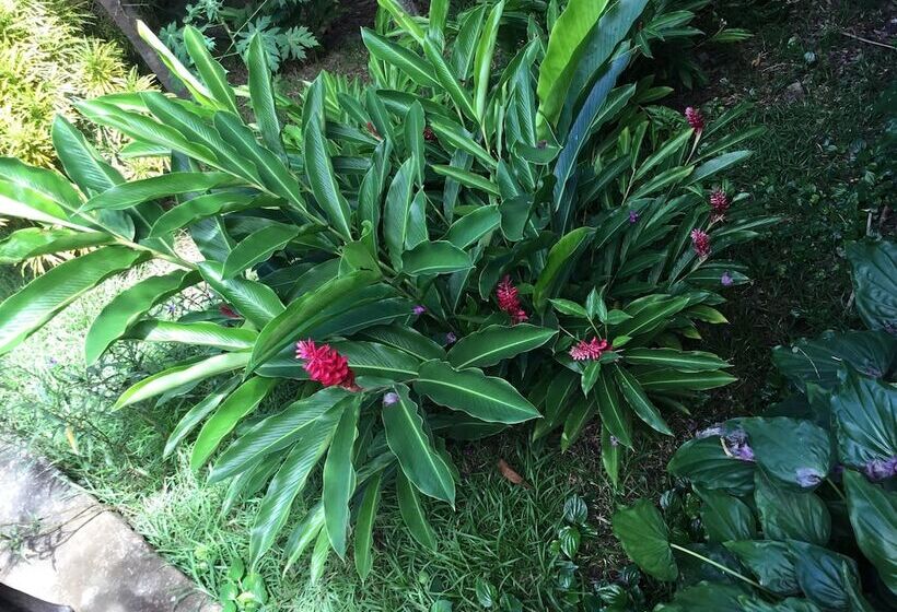 هتل Coucher De Soleil