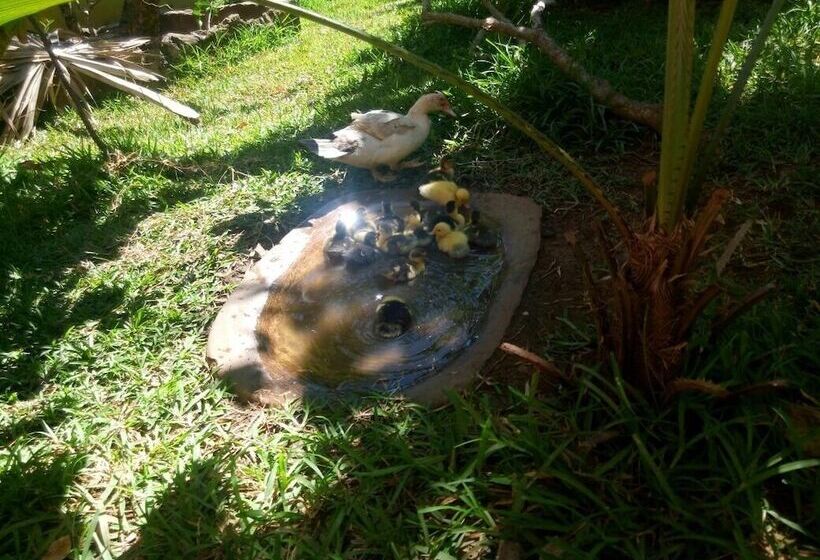 هتل Coucher De Soleil